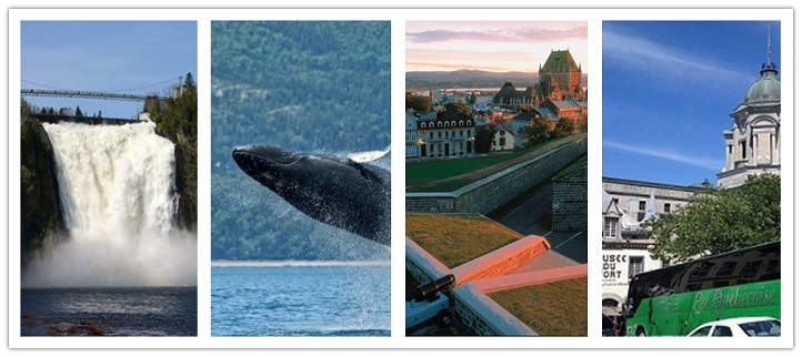 wonder travel|La ville de Québec et de l'observation des baleines 2 jours