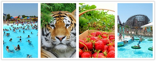 wondertravel|Granby Zoo 1 Day(Admission ticket to the Zoo included)