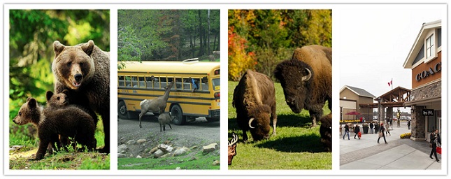 wondertravel|Parc Omega & Premium Outlets Shopping 1 Day--Admission ticket included