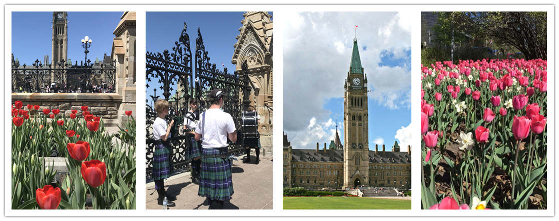 wondertravel|Ottawa 1 jour (billets d'entrée au Musée d'Histoire et au Musée de la Guerre inclus)